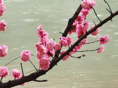 -望江楼公园