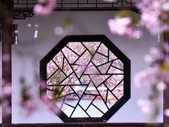 -莫愁湖公园