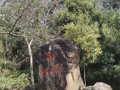 -鹿嘴山庄