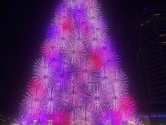-爱雍·乌节