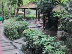 -天赐温泉
