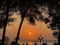 -宝安西湾红树林湿地公园