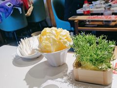 -阳坊胜利涮羊肉(阳坊总店)