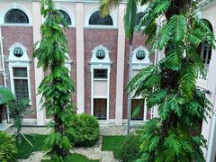-香港大学