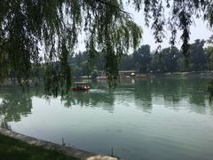 -达活泉公园
