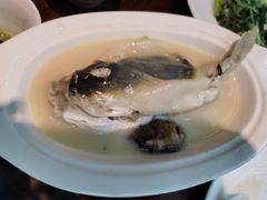河豚-金枝玉叶上海人家食府(三里河店)