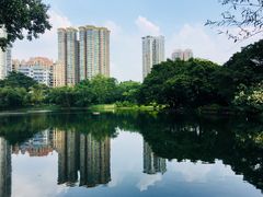 -晓港公园