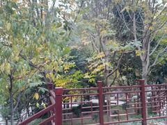 -西安曲江寒窑遗址公园