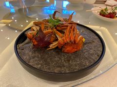 -上海和平饭店龙凤厅 Dragon Phoenix