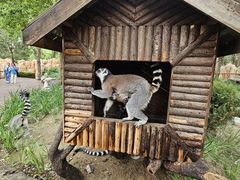 -北京野生动物园