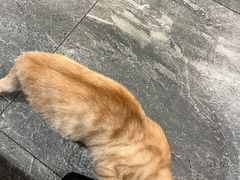 -囿面传统制面馆(中央路店)