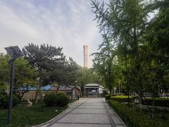 -团结湖公园