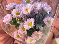 -循礼门鲜花花市(武汉循礼门店)