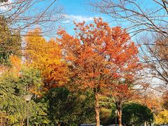 -上海虹桥花卉市场经营管理有限公司-停车场