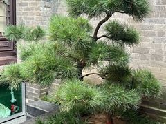-湘子庙