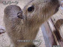 -顺德南宏海立方海洋公园