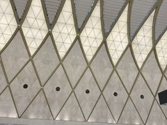 -乐天免税店(明洞店)