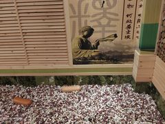 -水王国温泉水世界