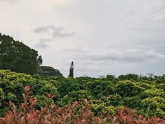 -东莞植物园