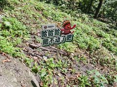 -吉林市朱雀山国家森林公园