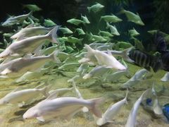 -成都浩海立方海洋公园