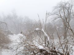 -九峰山