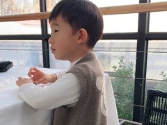 -梧桐