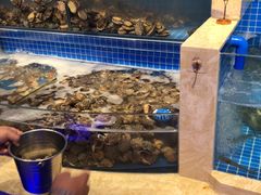 水产区-乔哥铭洋海鲜自助(皇城恒隆广场店)