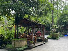 -青城甲(青城山店)