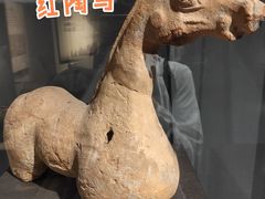 -泗洪县文化艺术中心