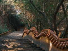 -漳州云洞岩风景区-瑞竹岩