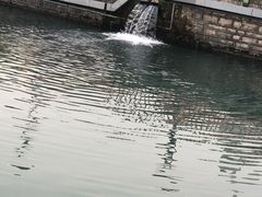 -海底捞火锅(泉城路店)