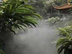 -广州兰圃