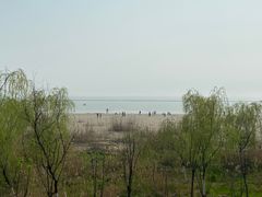 -合肥滨湖国家森林公园