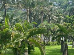 -大梅沙海滨公园