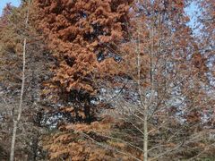 -白塘生态植物园