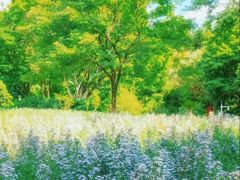 -深圳国际园林花卉博览园