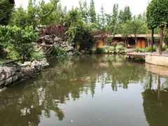 -洪湖家庭农场·团建·露营·会议