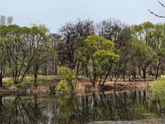 -长白岛森林公园