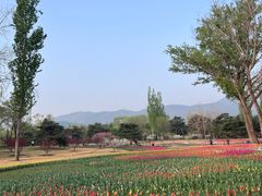 -北京植物园南门售票处