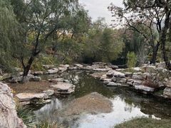 -北京西山国家森林公园