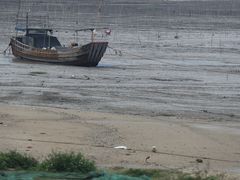 -北岐滩涂