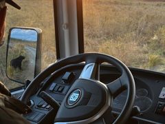 -黑瞎子岛探秘野熊园