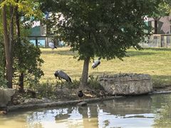 -祥源·阜阳生态乐园