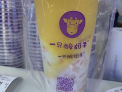 酸奶杨枝甘露-一只酸奶牛(来福士店)