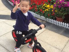-稚马儿童平衡车自行车俱乐部