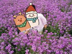 -君乐宝优致牧场