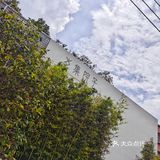 米其林探店｜番禺区私房菜的天花板