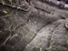 -张之洞与武汉博物馆