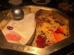 -蜀九香火锅(彩虹店)